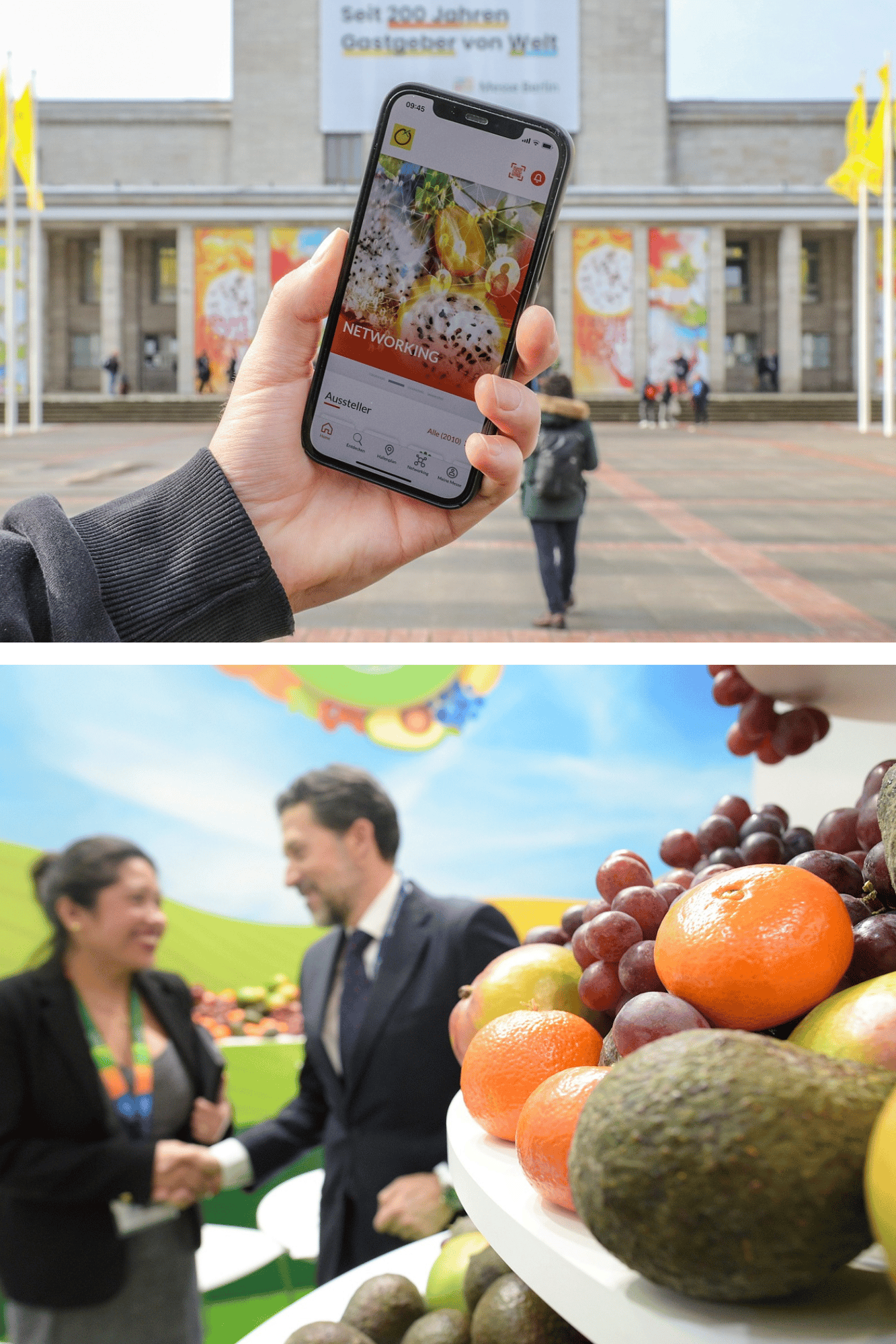 Diseño sin título (22)