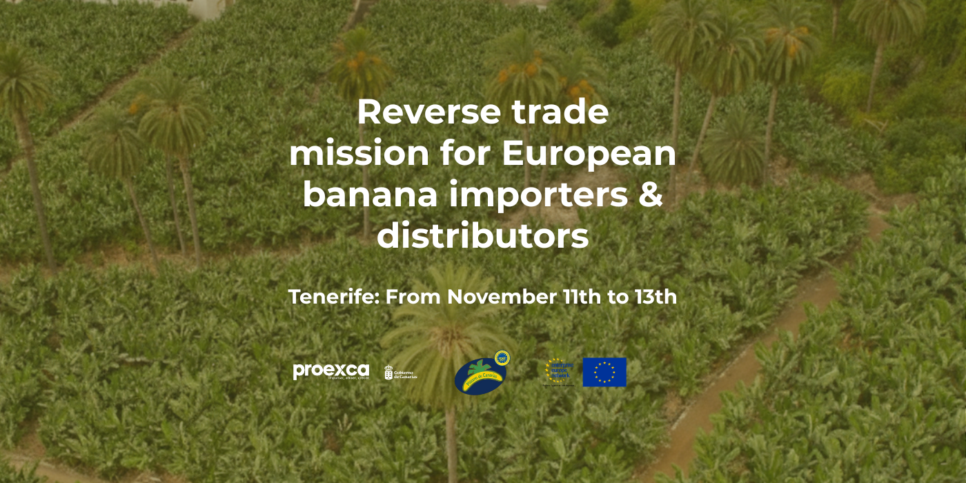 Mision inversa Platano de Canarias 2025 (3)