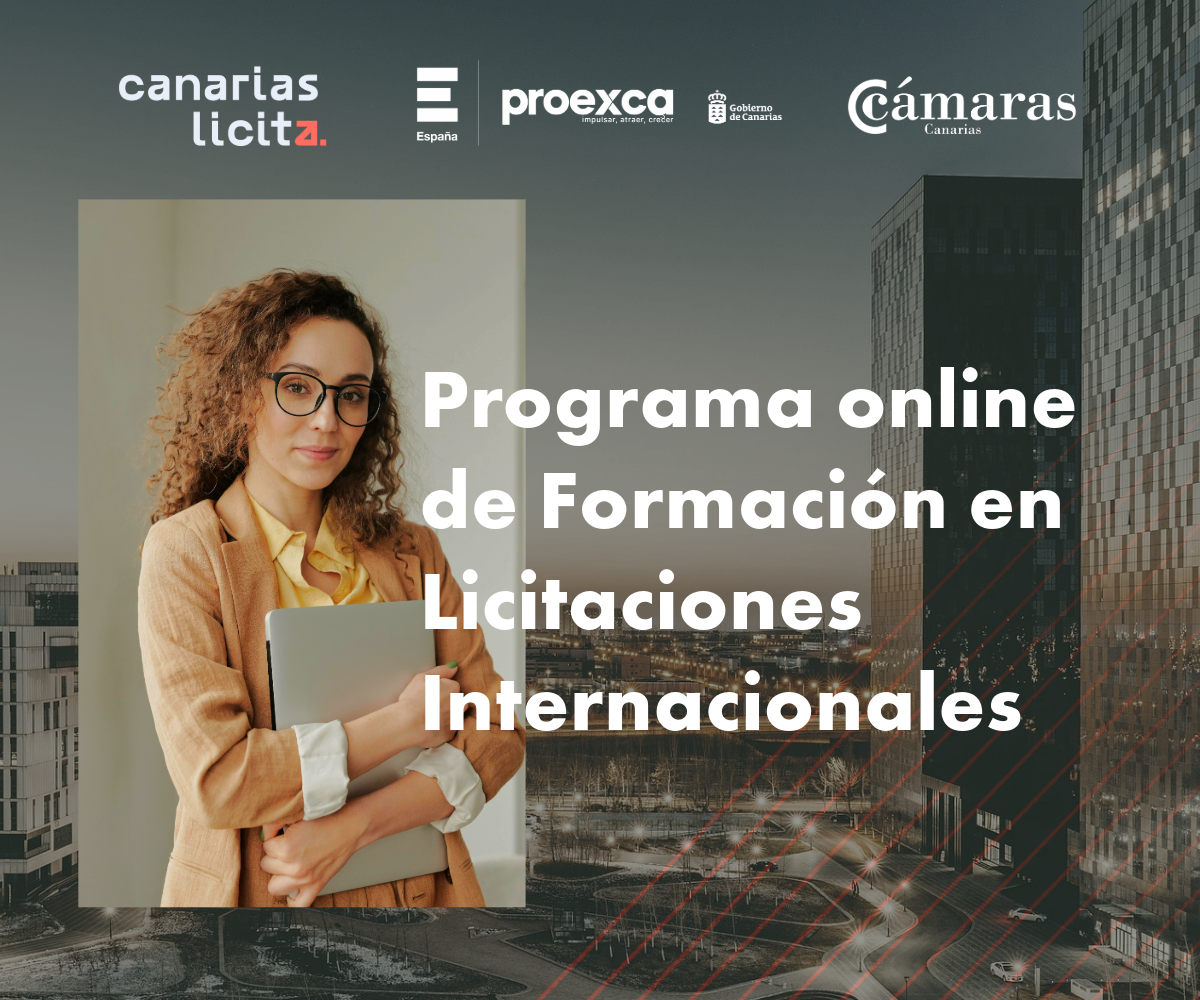 Programa online licitaciones internacionales